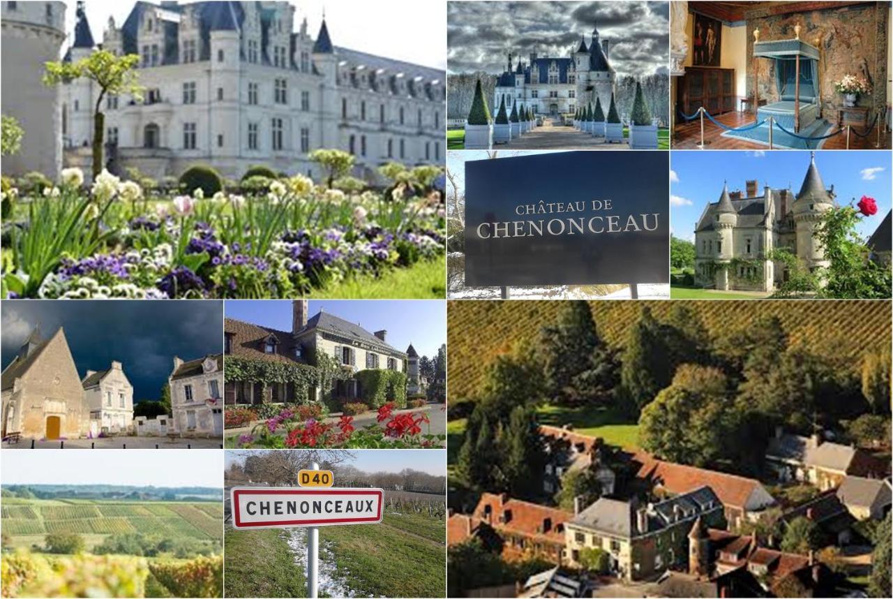 Bed and Breakfast Le Roi Coq Chenonceaux Esterno foto