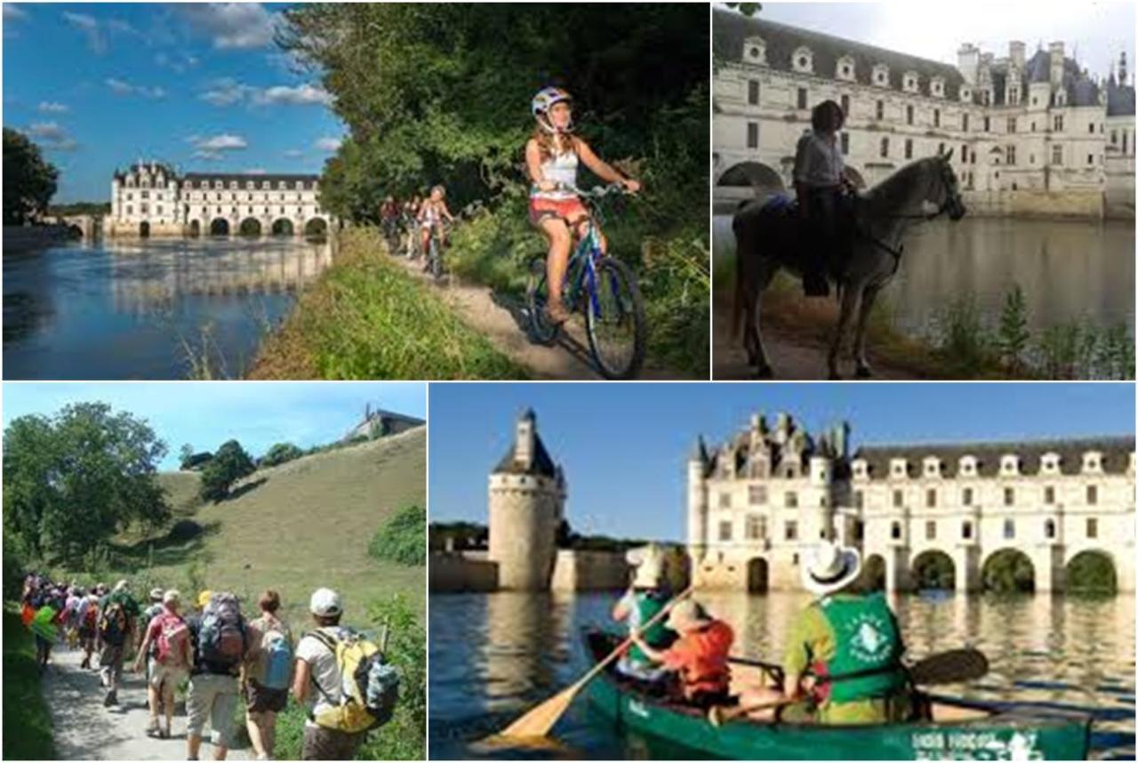 Bed and Breakfast Le Roi Coq Chenonceaux Esterno foto